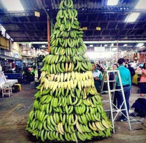 morning picdump 51 pics 1.html - 51 HD Photos | Premium Gallery 2013