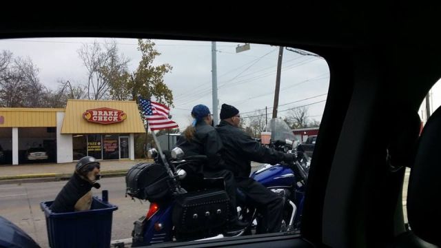 morning picdump 54 pics 10.html - 54 HD Photos | Premium Gallery 2013