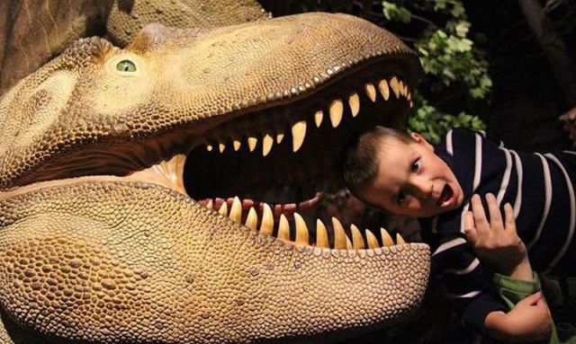 morning picdump 52 pics 12.html - 52 HD Photos | Premium Gallery 2013