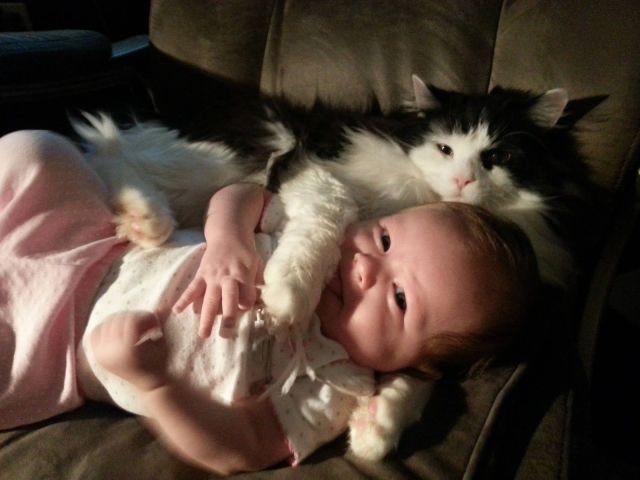 morning picdump 52 pics 12.html - 52 HD Photos | Premium Gallery 2013
