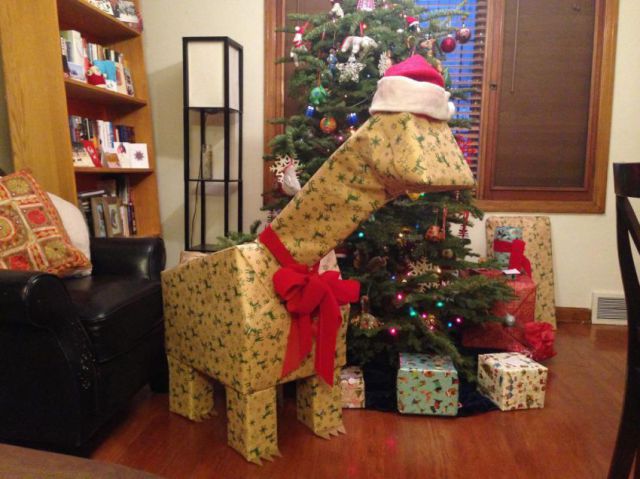 daily picdump 90 pics 28.html - 90 HD Photos | Premium Gallery 2013