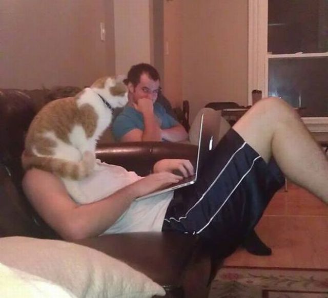 daily picdump 90 pics 28.html - 90 HD Photos | Premium Gallery 2013