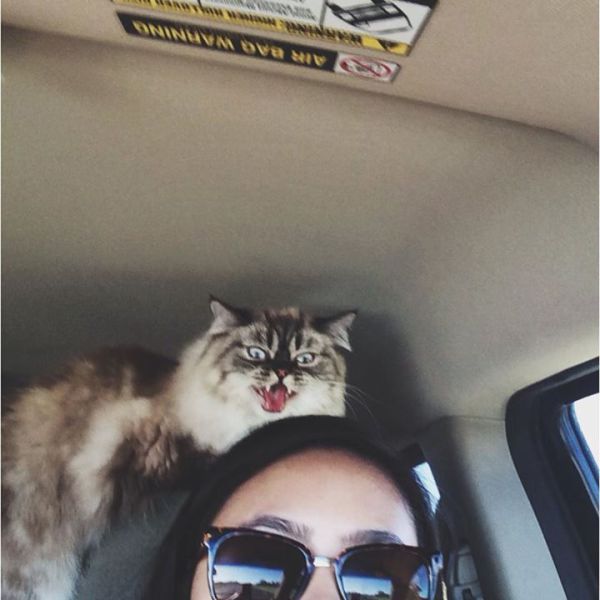 daily picdump 90 pics 28.html - 90 HD Photos | Premium Gallery 2013