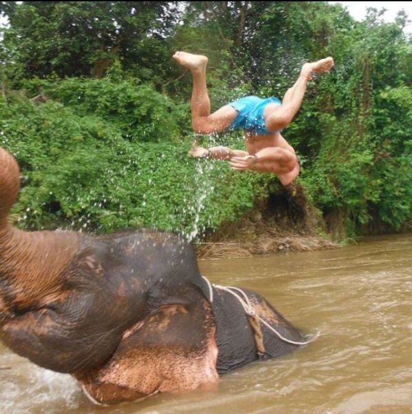 morning picdump 54 pics 10.html - 54 HD Photos | Premium Gallery 2013