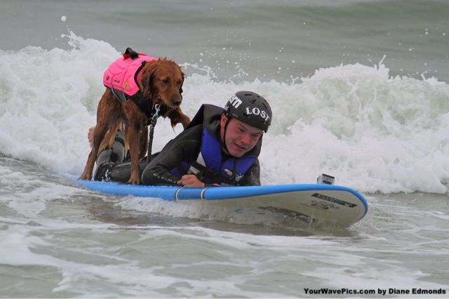 morning picdump 54 pics 10.html - 54 HD Photos | Premium Gallery 2013