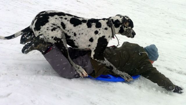 morning picdump 54 pics 10.html - 54 HD Photos | Premium Gallery 2013