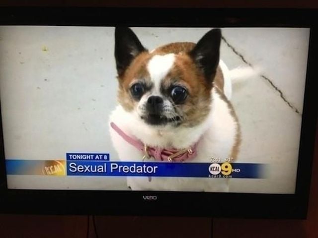 morning picdump 64 pics 21.html - 64 HD Photos | Premium Gallery 2013