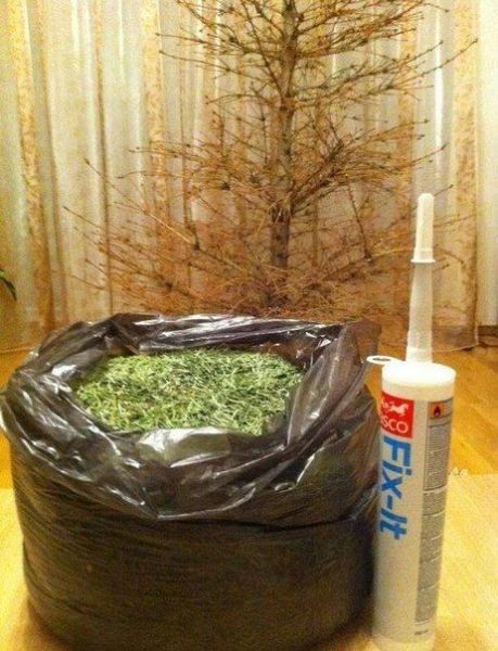 morning picdump 62 pics 10.html - 62 HD Photos | Premium Gallery 2013