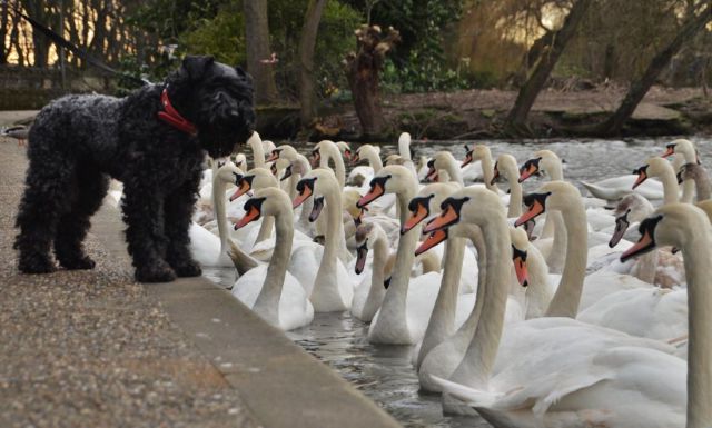 morning picdump 52 pics 7.html - 52 HD Photos | Premium Gallery 2014