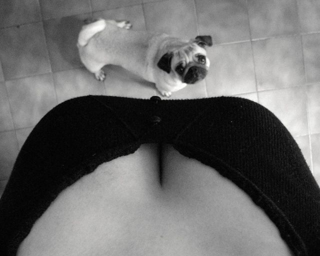 grownup corner 53 pics 5 gifs 2.html - 53 HD GIF | Premium Gallery 2014