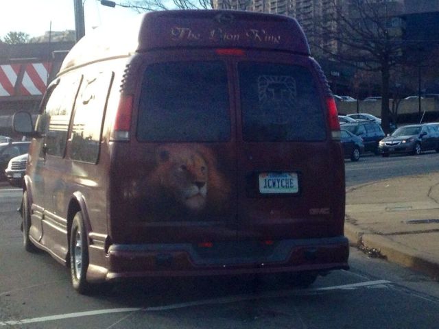 Morning Picdump