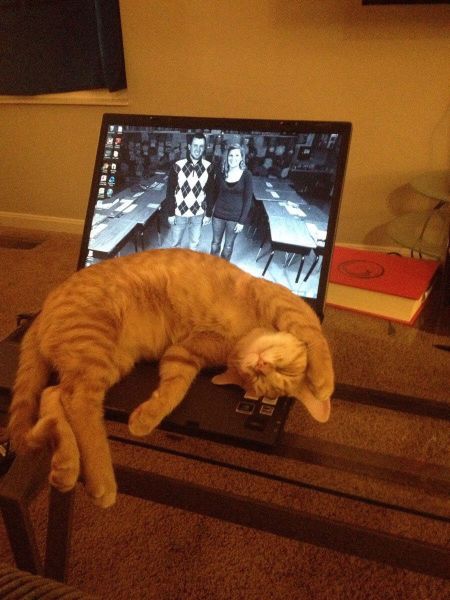 morning picdump 56 pics 11.html - 56 HD Photos | Premium Gallery 2014