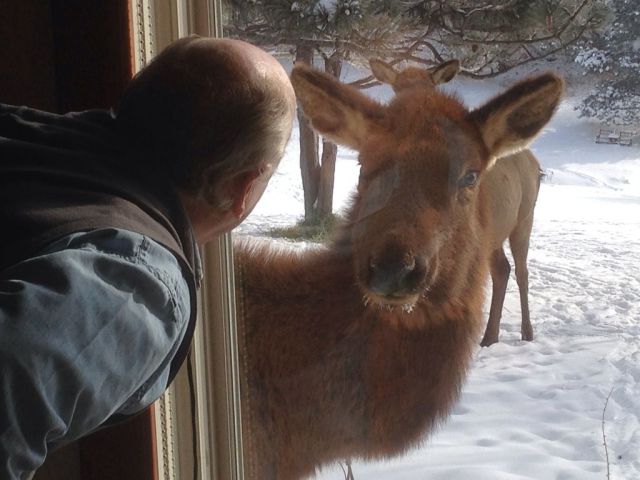 morning picdump 56 pics 11.html - 56 HD Photos | Premium Gallery 2014