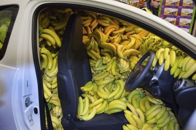 Morning Picdump