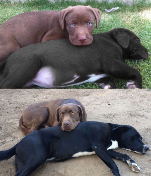 Morning Picdump