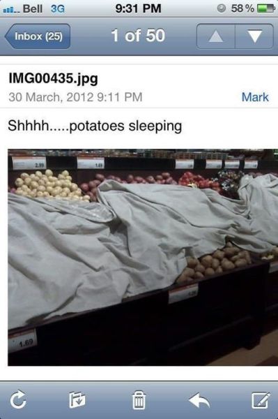 Morning Picdump
