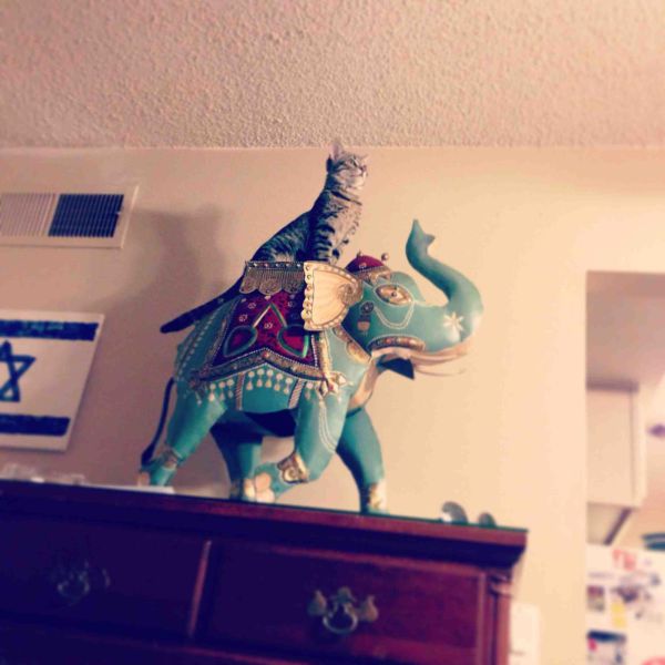 Morning Picdump