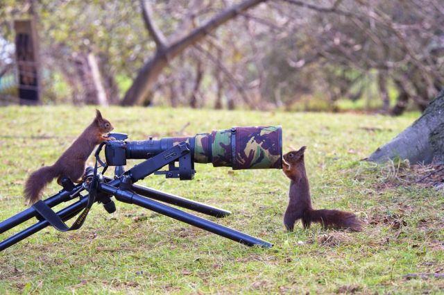 Morning Picdump