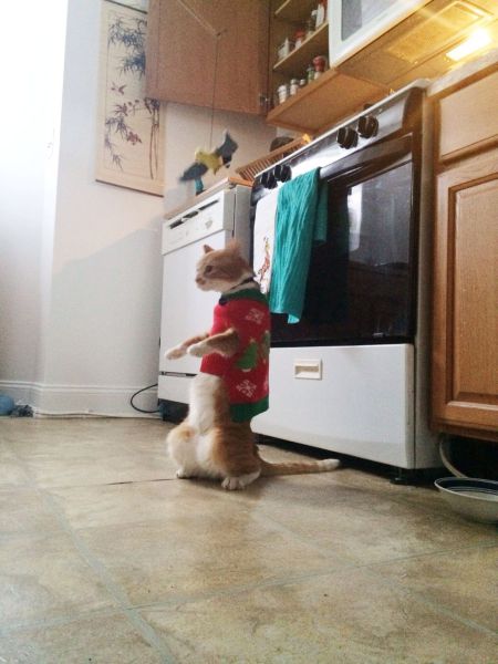 Morning Picdump
