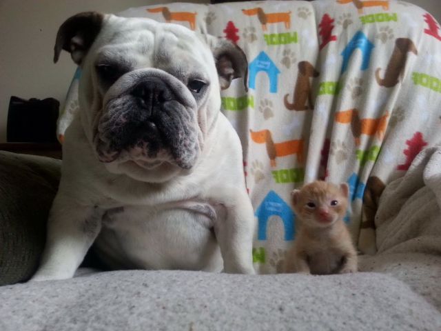 Morning Picdump