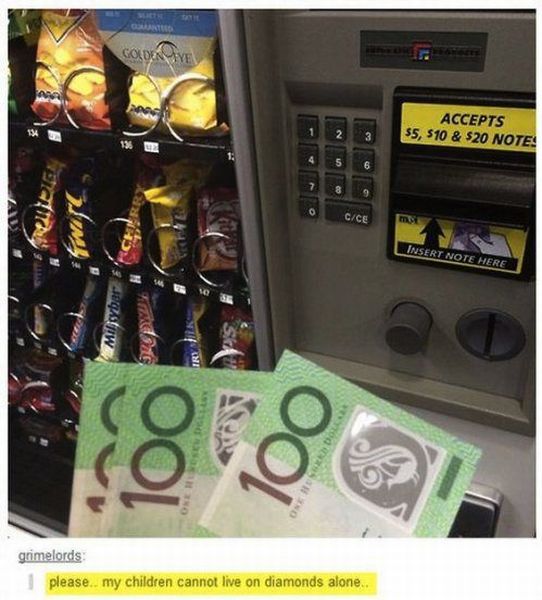 Morning Picdump
