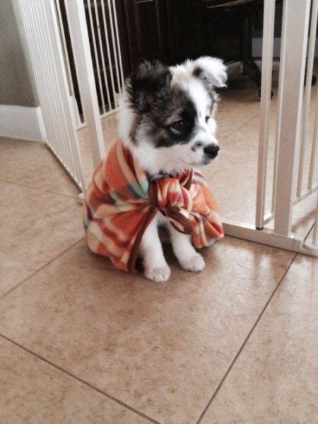 Morning Picdump