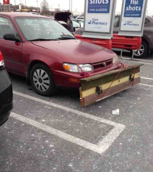 Morning Picdump