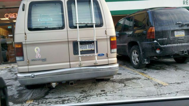 Morning Picdump