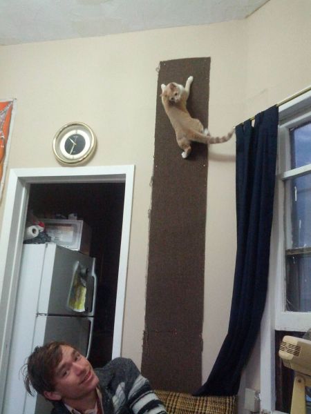 Morning Picdump