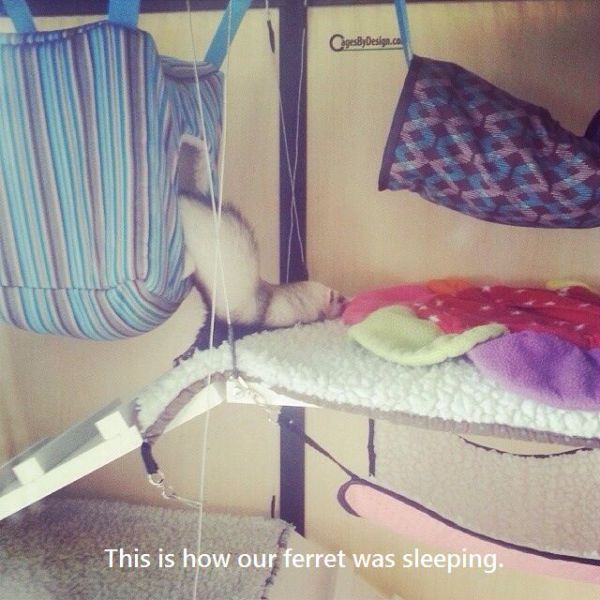 Morning Picdump