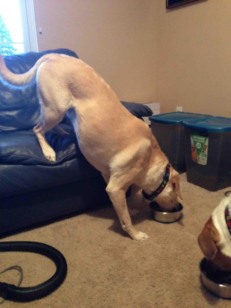 Morning Picdump
