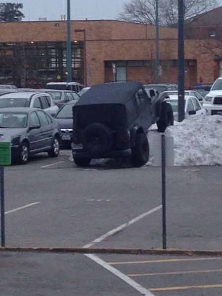 Morning Picdump