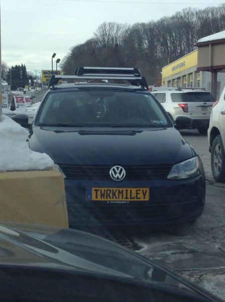 Morning Picdump