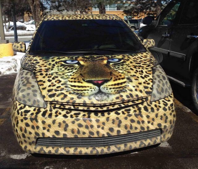 Morning Picdump