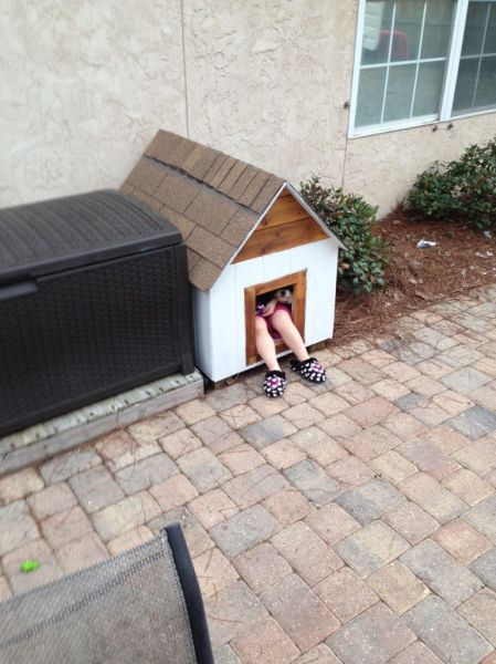 Morning Picdump