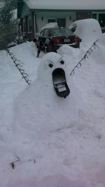 Morning Picdump