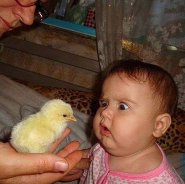 Morning Picdump