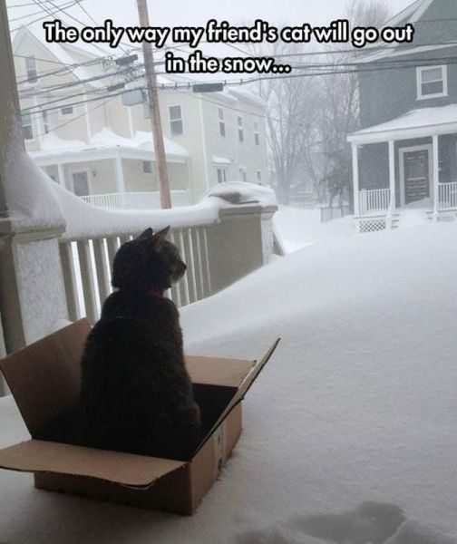 Morning Picdump
