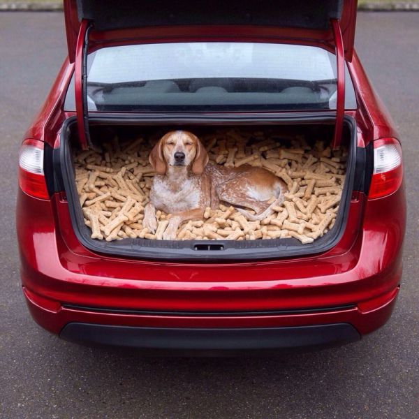 Morning Picdump