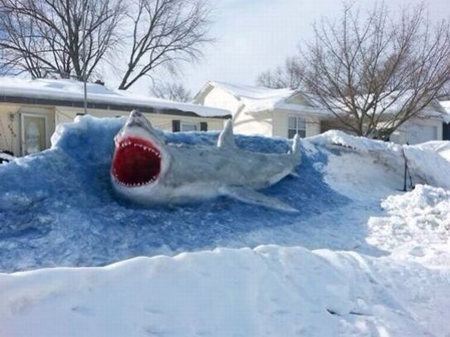morning picdump 53 pics 2.html - 53 HD Photos | Premium Gallery 2014