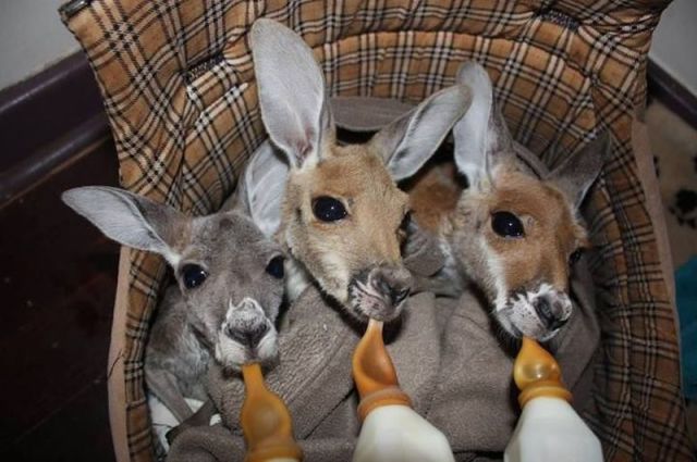 morning picdump 53 pics 2.html - 53 HD Photos | Premium Gallery 2014