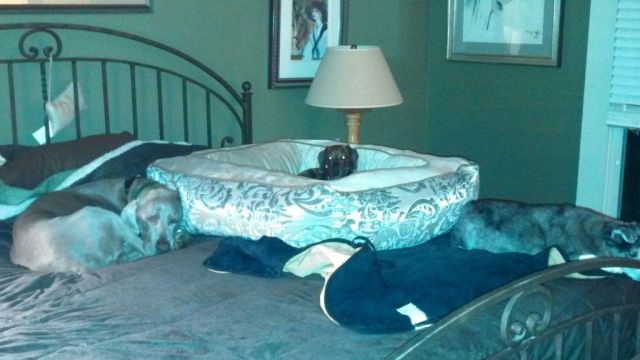 morning picdump 53 pics 2.html - 53 HD Photos | Premium Gallery 2014