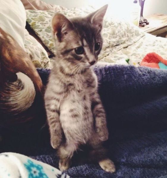 morning picdump 53 pics 2.html - 53 HD Photos | Premium Gallery 2014