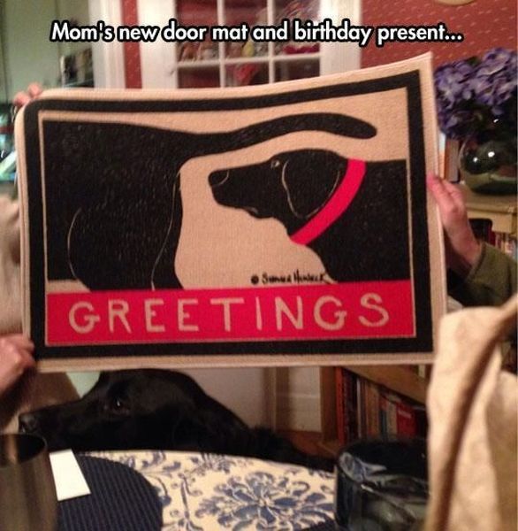 Morning Picdump