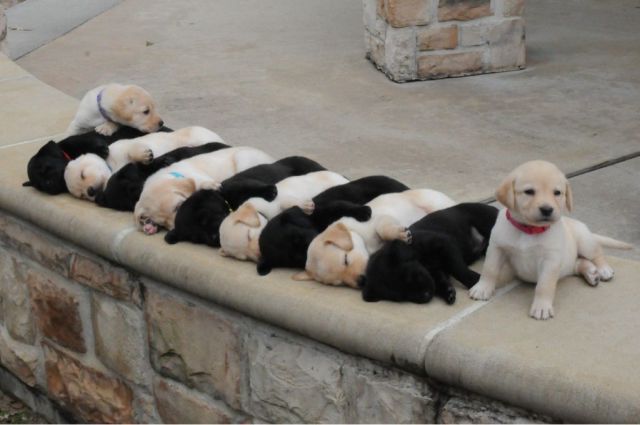 Morning Picdump