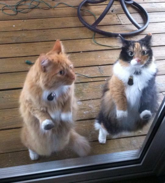 morning picdump 53 pics 22.html - 53 HD Photos | Premium Gallery 2014