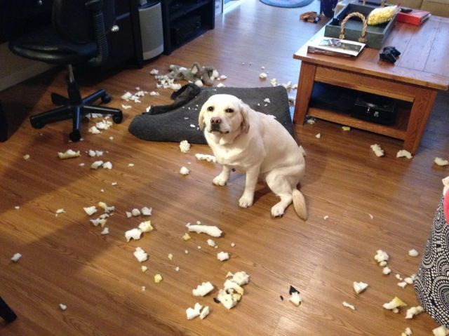 morning picdump 53 pics 22.html - 53 HD Photos | Premium Gallery 2014