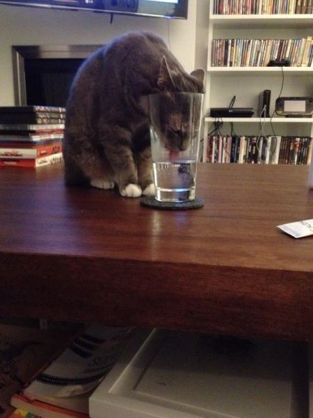 morning picdump 52 pics 4.html - 52 HD Photos | Premium Gallery 2014