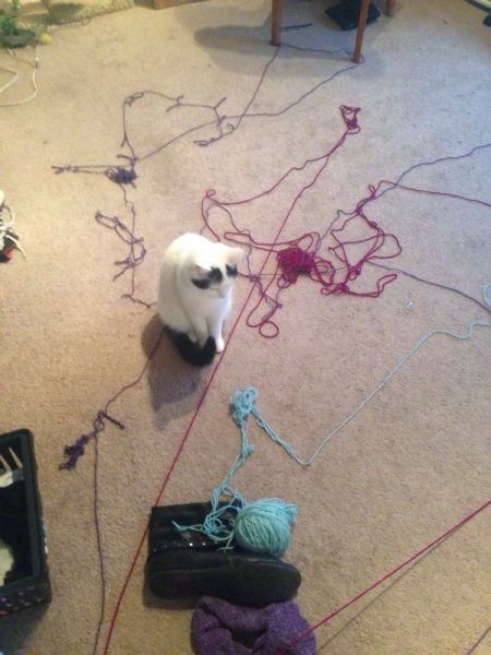 morning picdump 52 pics 4.html - 52 HD Photos | Premium Gallery 2014