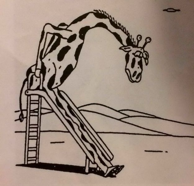 morning picdump 52 pics 4.html - 52 HD Photos | Premium Gallery 2014